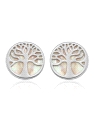 PLATA PENDIENTES NACAR  925MM                                                                       