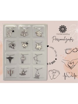 EXPOSITOR PROFESIONES...